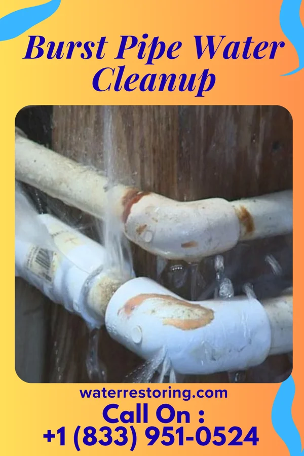 Burst Pipe Water Cleanup in North Syracuse, NY
