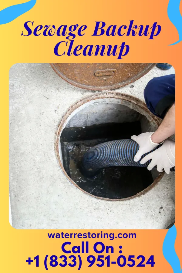 Sewage Backup Cleanup in North Syracuse, NY