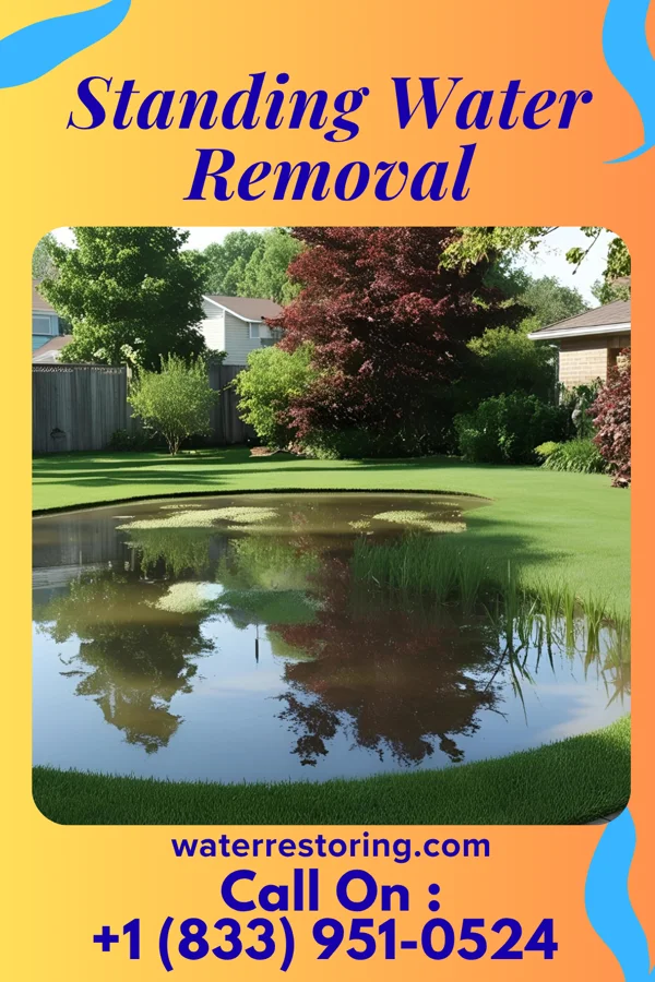 Standing Water Removal in North Syracuse, NY